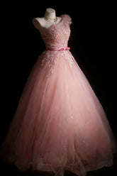 Pretty Prom Dresses Ball Gown One Shoulder Blush Pink Tulle With Appliques Long Formal Dress N2954
