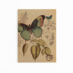 Bonnies Fave Collage Papers - Archer and Olive