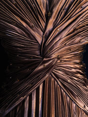 Trendy Prom Dresses Inspiration Mermaid Spaghetti Strap Chocolate Gala Satin Backless With Cape Formal Gowns N3189