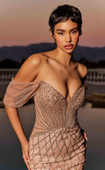 Ladivine CC477 Dress