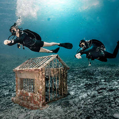 Thermocline-Shorts für Damen
